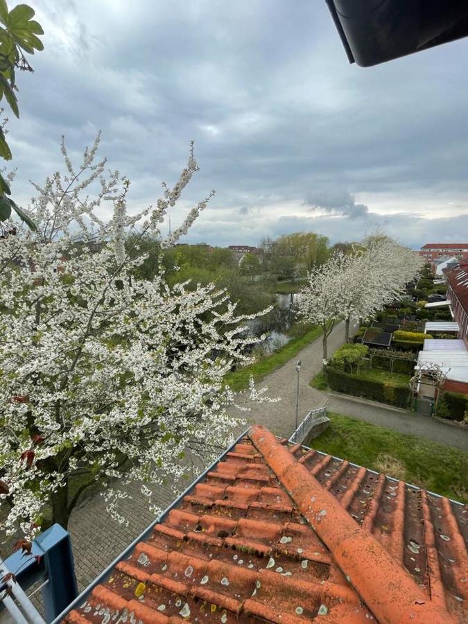 Grosszugige Wohnung In Findorff Bremen Bagian luar foto